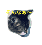 熟女猫のにゃろめ（個別スタンプ：2）