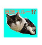 熟女猫のにゃろめ（個別スタンプ：6）