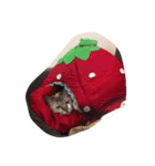 うちのおかしなむすこたち（個別スタンプ：3）