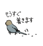 インコと作業員（個別スタンプ：7）