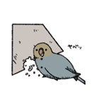 インコと作業員（個別スタンプ：19）