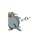 インコと作業員（個別スタンプ：28）