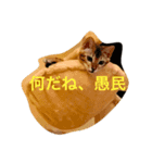 ティガにゃん（個別スタンプ：4）