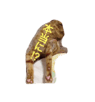 うちのねこず①（個別スタンプ：6）