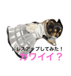 私ワンコ（個別スタンプ：6）