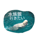 rakugaki-stamp（個別スタンプ：13）