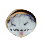 rakugaki-stamp（個別スタンプ：18）