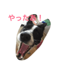 おっちょこちょいのサク（個別スタンプ：1）