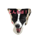 おっちょこちょいのサク（個別スタンプ：2）
