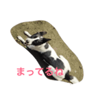 おっちょこちょいのサク（個別スタンプ：4）