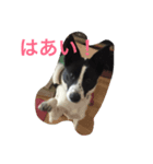 おっちょこちょいのサク（個別スタンプ：6）