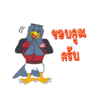 Falcon（個別スタンプ：5）