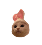 うちのラブリーキャッツ（個別スタンプ：1）