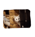 うちのラブリーキャッツ（個別スタンプ：5）