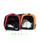 露と雪（個別スタンプ：6）