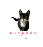 露と雪（個別スタンプ：12）
