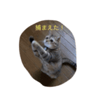 じっくんの日常（個別スタンプ：4）