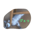 じっくんの日常（個別スタンプ：6）