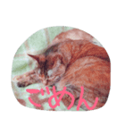 ねこ♡（個別スタンプ：4）