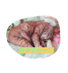 ねこ♡（個別スタンプ：5）