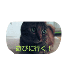 ねこ♡（個別スタンプ：7）