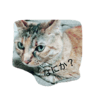 ねこ♡（個別スタンプ：8）
