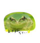 あまがえるちゃんたち（個別スタンプ：5）