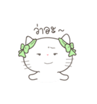 Yuk-Yik White Kitten（個別スタンプ：31）