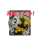 幸せな花（個別スタンプ：13）