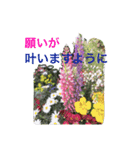 幸せな花（個別スタンプ：16）