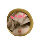 白くて丸いハムスター（個別スタンプ：4）