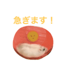 白くて丸いハムスター（個別スタンプ：15）