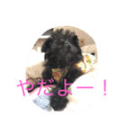 うちの犬アロハの気持ち（個別スタンプ：4）