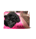 うちの犬アロハの気持ち（個別スタンプ：8）