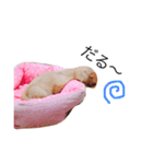 カニ（赤ちゃん編）（個別スタンプ：6）