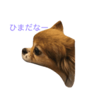 ブンブンスタンプ（個別スタンプ：1）