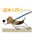 ビーグル犬のガクとココとイクラ（個別スタンプ：13）