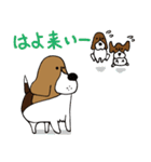 ビーグル犬のガクとココとイクラ（個別スタンプ：29）