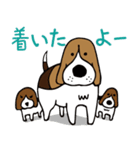 ビーグル犬のガクとココとイクラ（個別スタンプ：39）