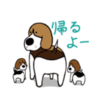 ビーグル犬のガクとココとイクラ（個別スタンプ：40）