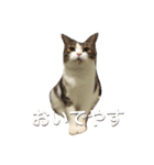 ドンちゃんの世界（個別スタンプ：3）
