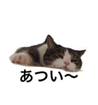 ドンちゃんの世界（個別スタンプ：4）