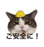 ドンちゃんの世界（個別スタンプ：6）