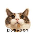 ドンちゃんの世界（個別スタンプ：8）