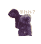 黒いトイプーのセピちゃん（個別スタンプ：4）