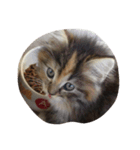猫に癒されたい！（個別スタンプ：3）