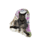 猫に癒されたい！（個別スタンプ：8）