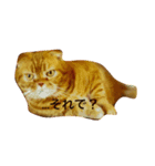 凛のきもち（個別スタンプ：2）