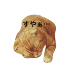 凛のきもち（個別スタンプ：7）