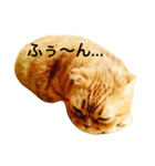 凛のきもち（個別スタンプ：8）